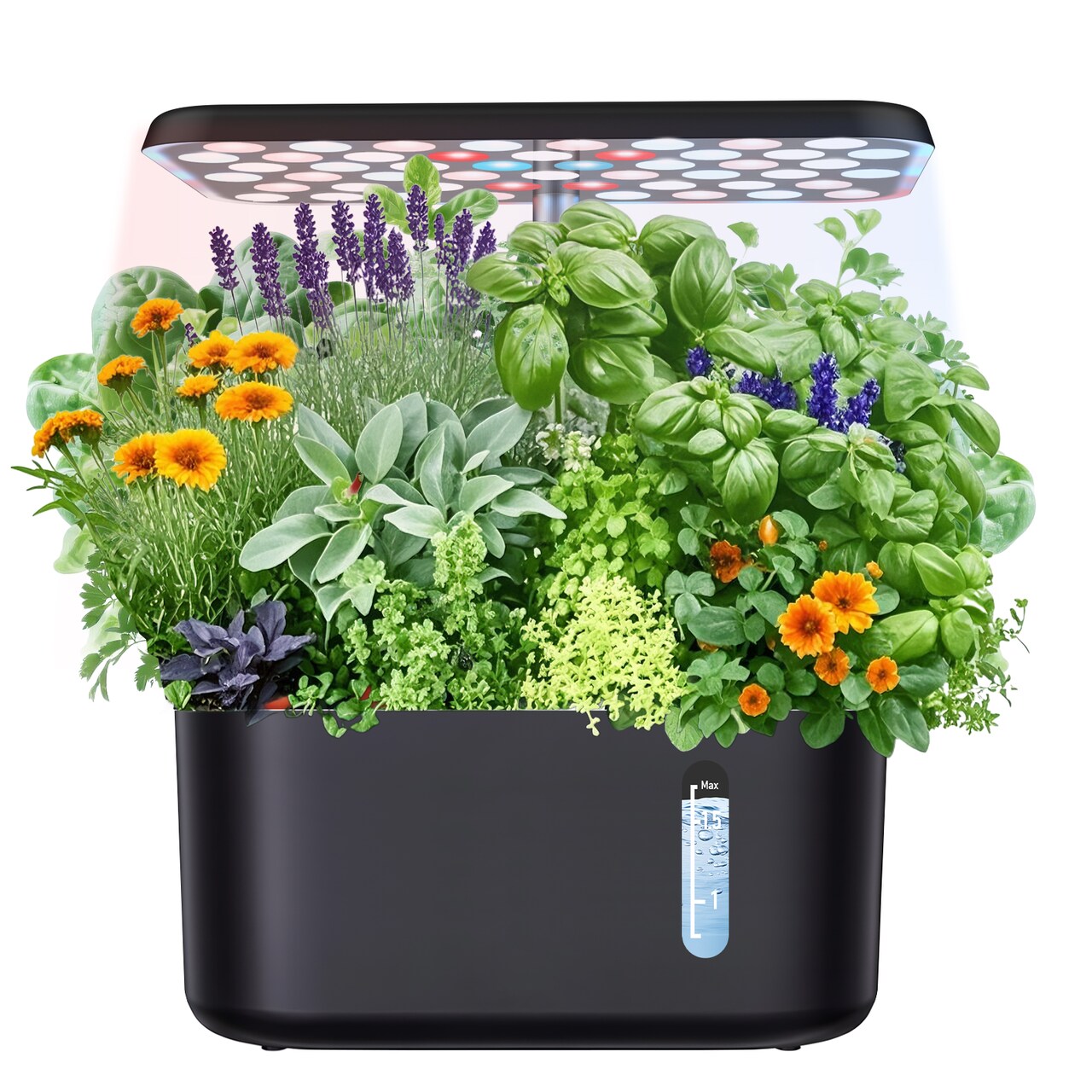 Indoor Hydroponic Growing System with LED Grow Light, Quiet Smart Water Pump, 5 Pods, Automatic Timer, Perfect for Herbs, Vegetables and Fruits